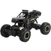 Electric RC Toys